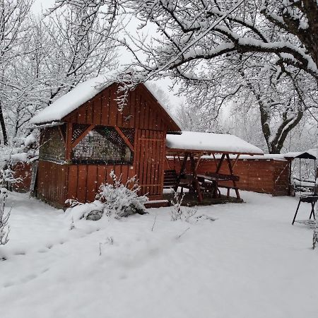 Приватна Садиба Яблуневий Сад 1 Hotel Yaremche Exterior photo